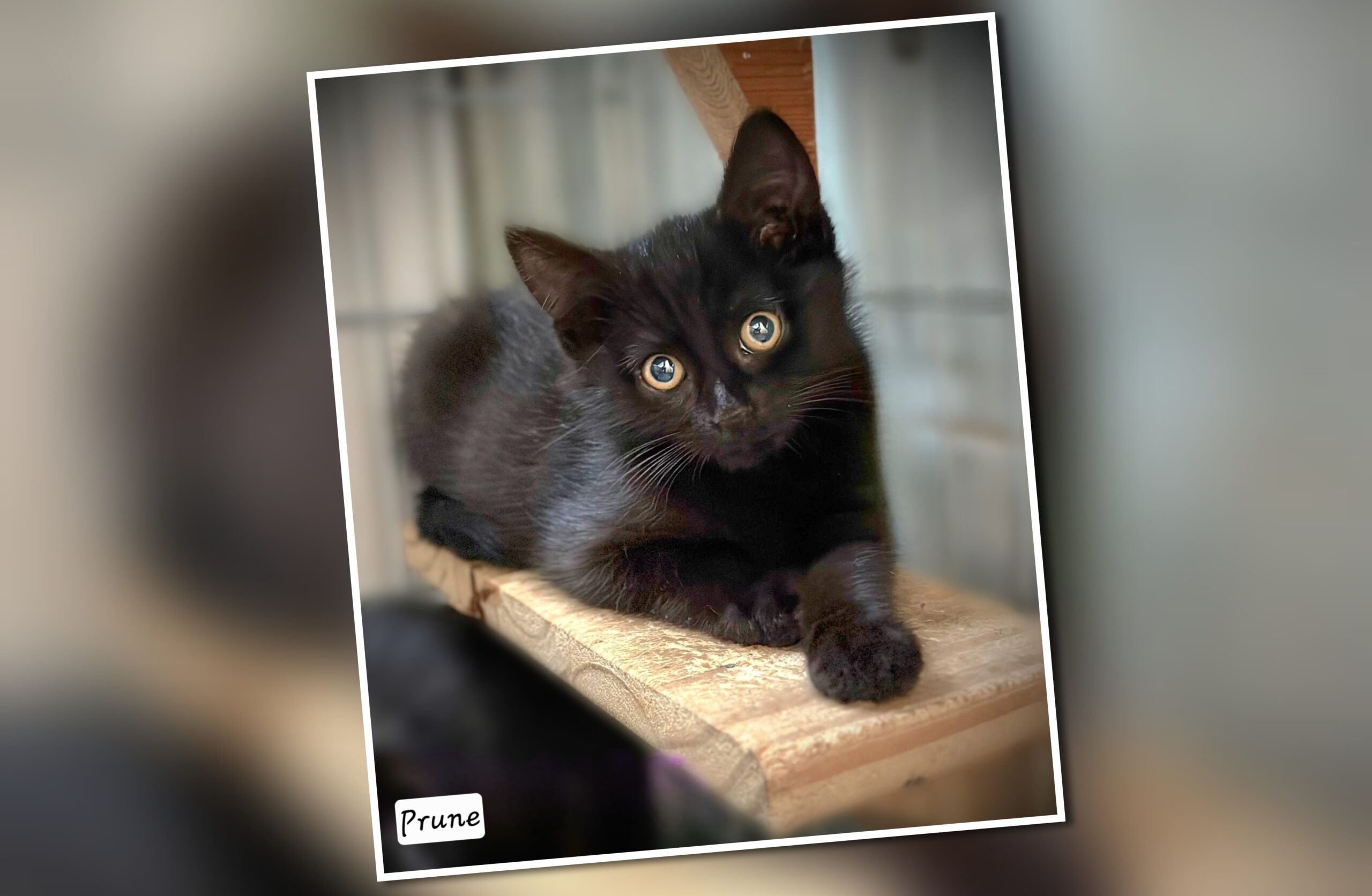 InCollage_20250825_190813329