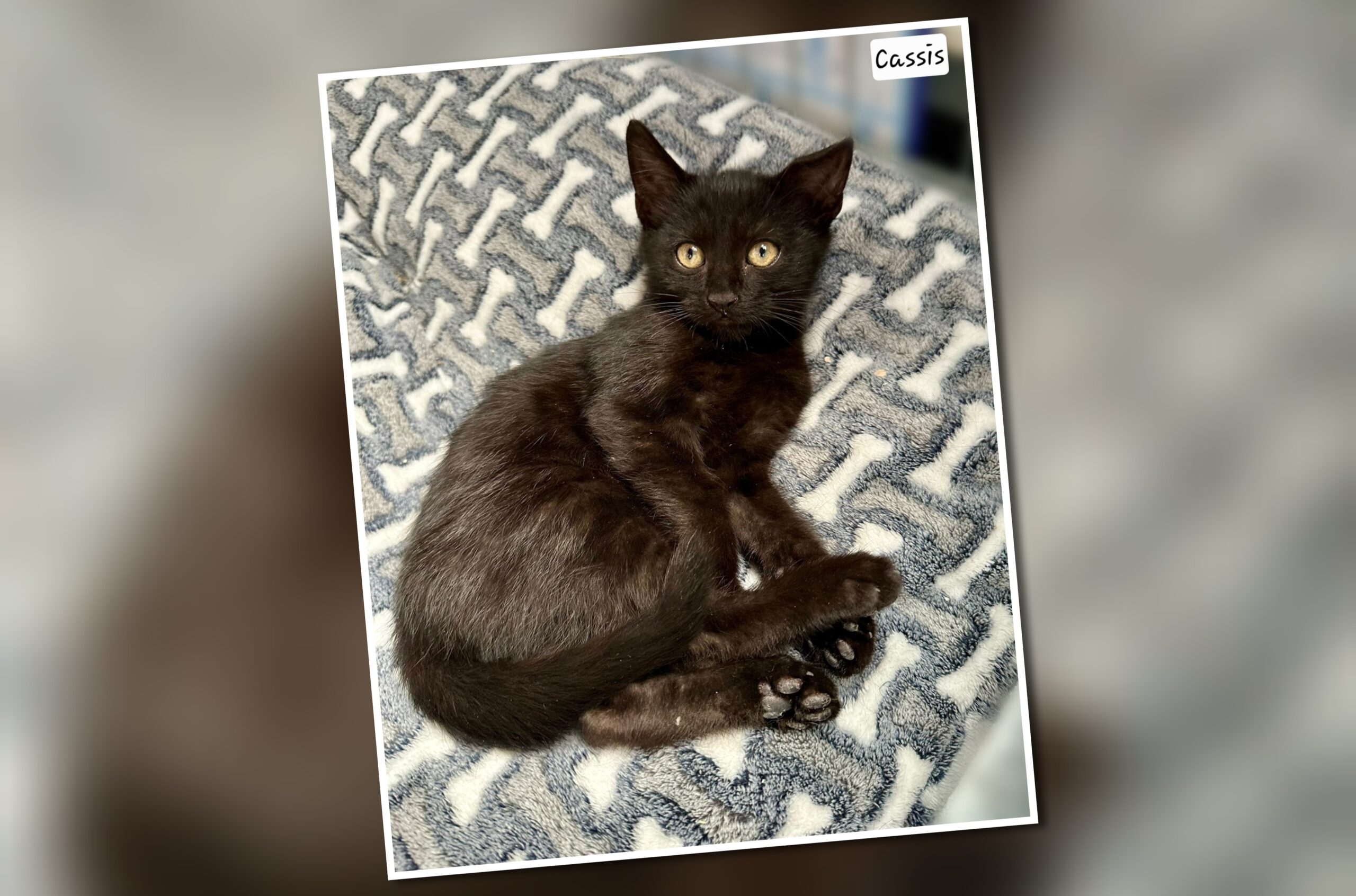 InCollage_20250825_191105528