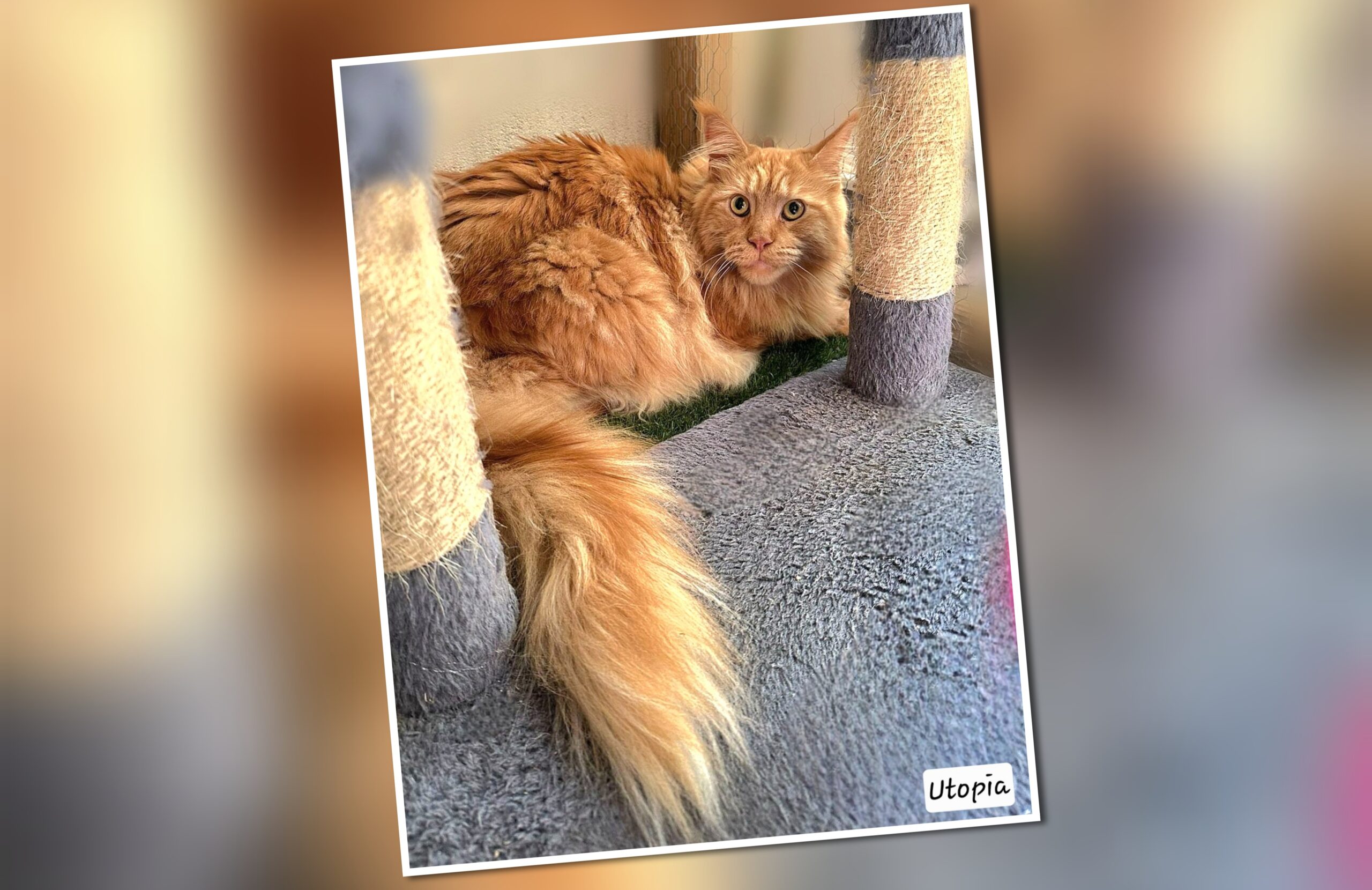 InCollage_20250826_173624127