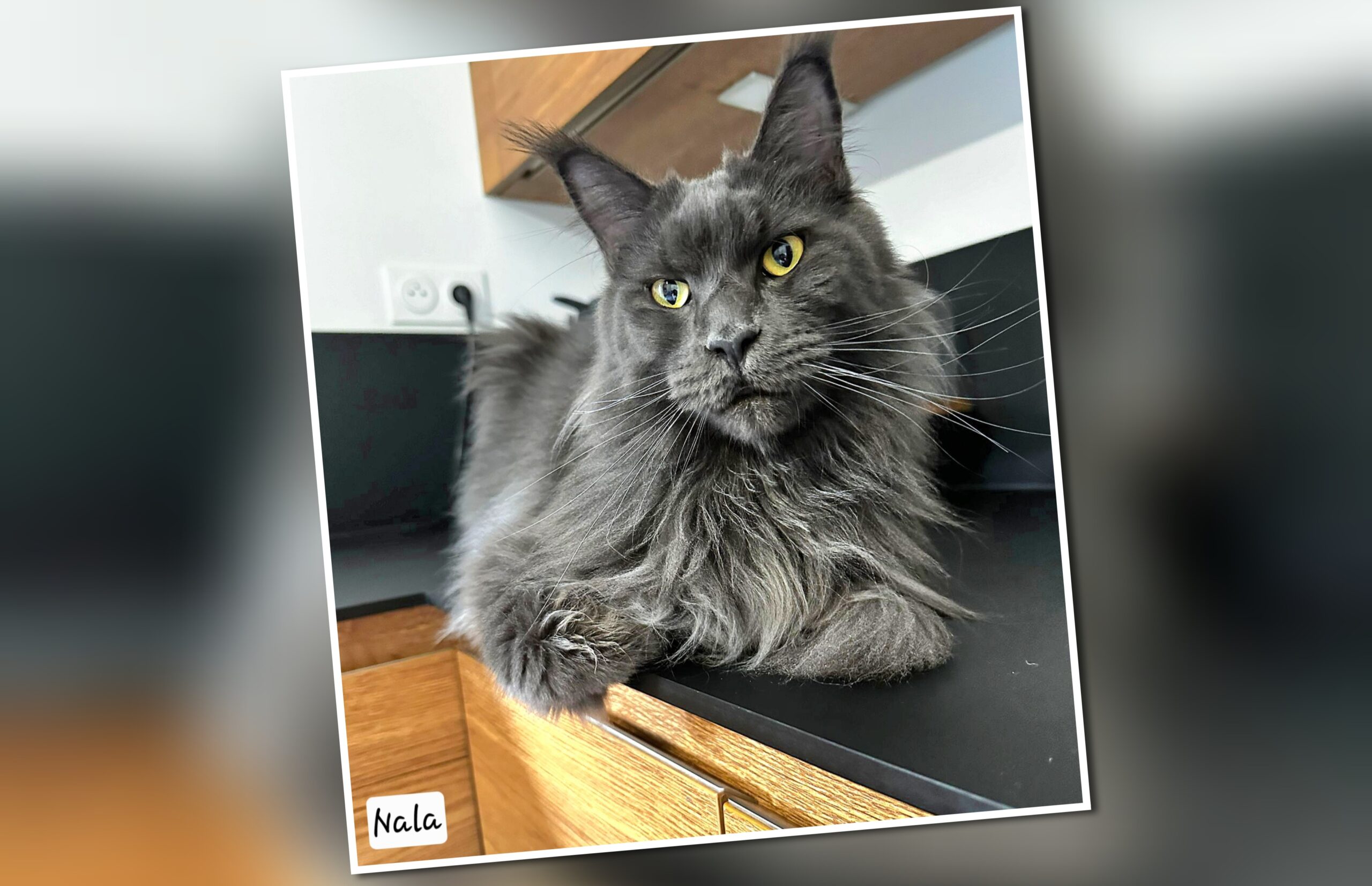 InCollage_20250826_173929632