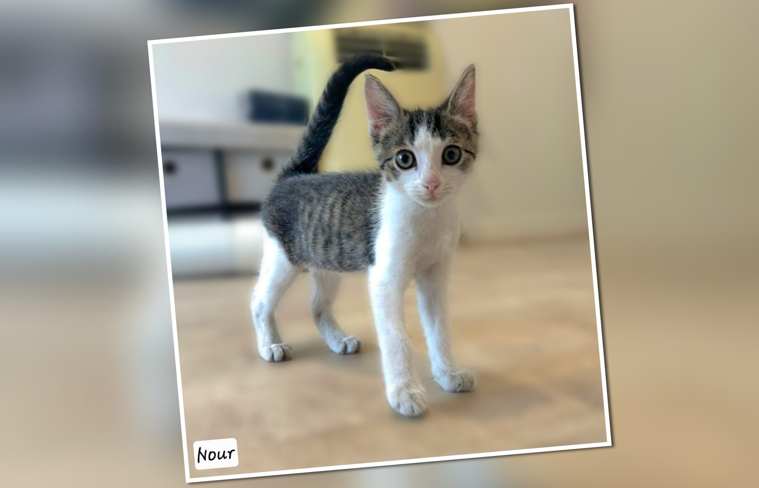 InCollage_20250829_090953262