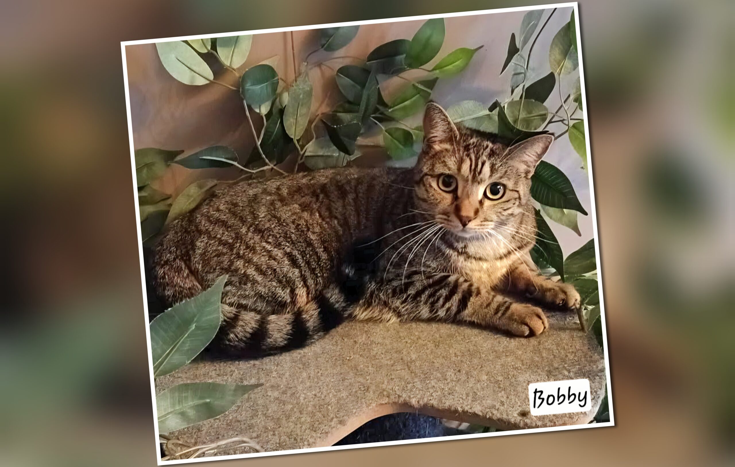 InCollage_20250831_225912741