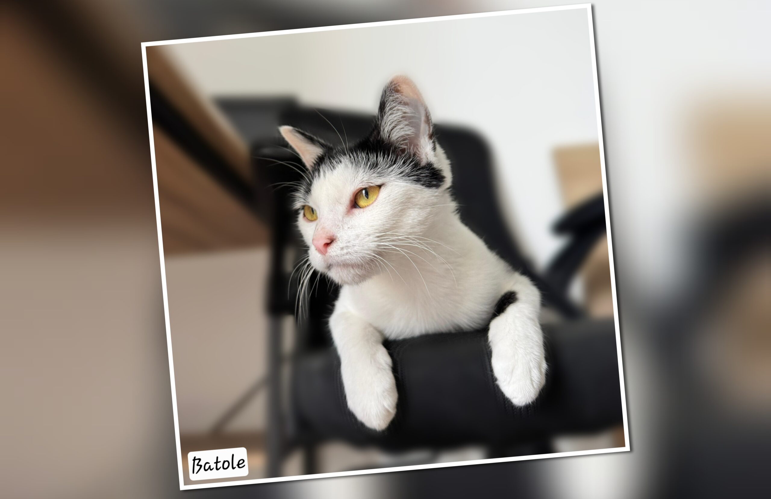 InCollage_20250916_134357129