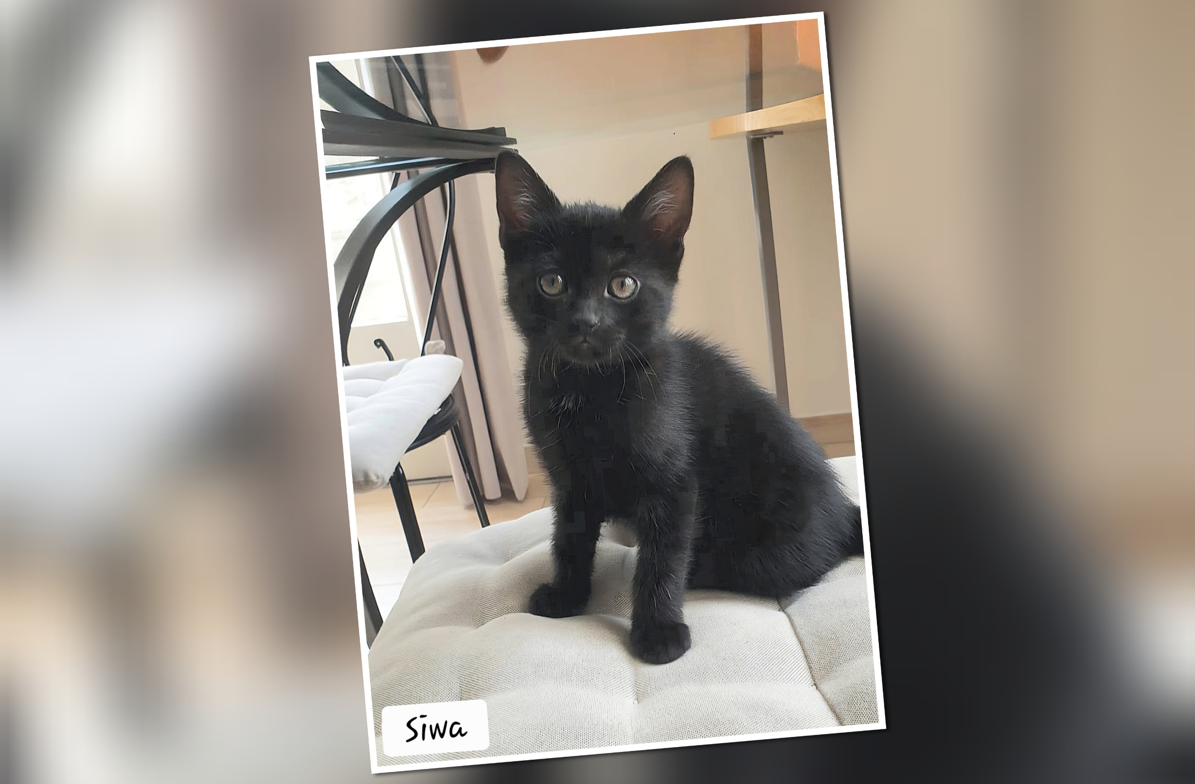 InCollage_20250902_204032297