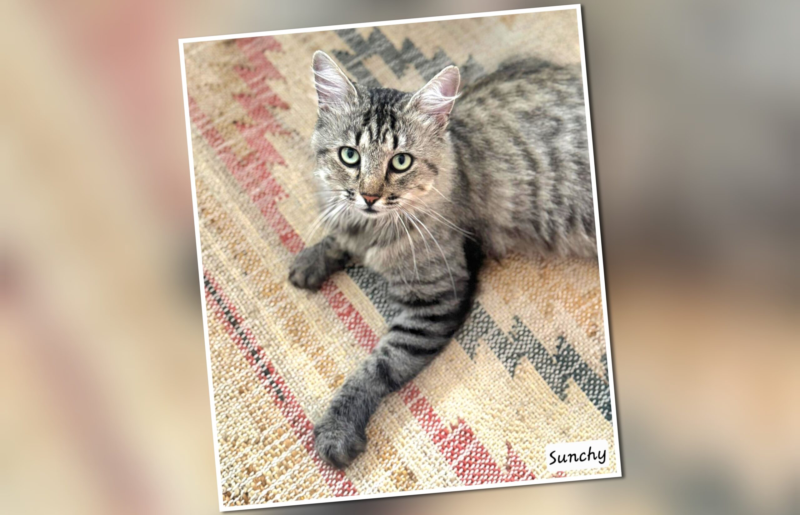 InCollage_20250905_140222146