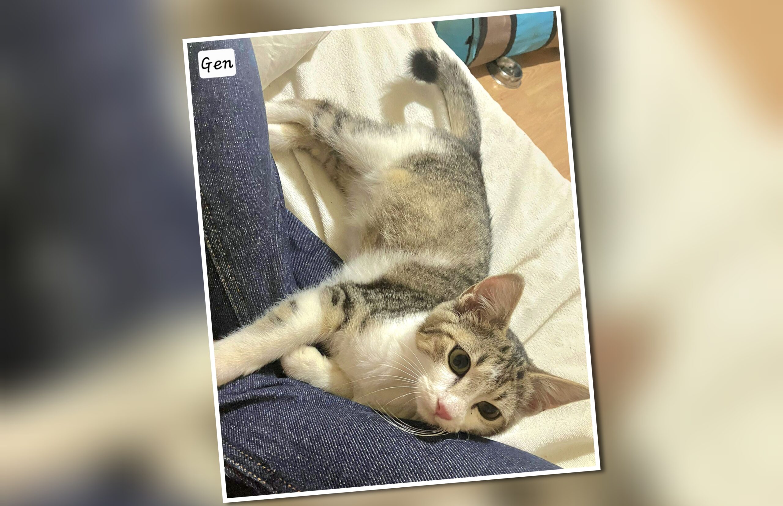 InCollage_20250905_215457808