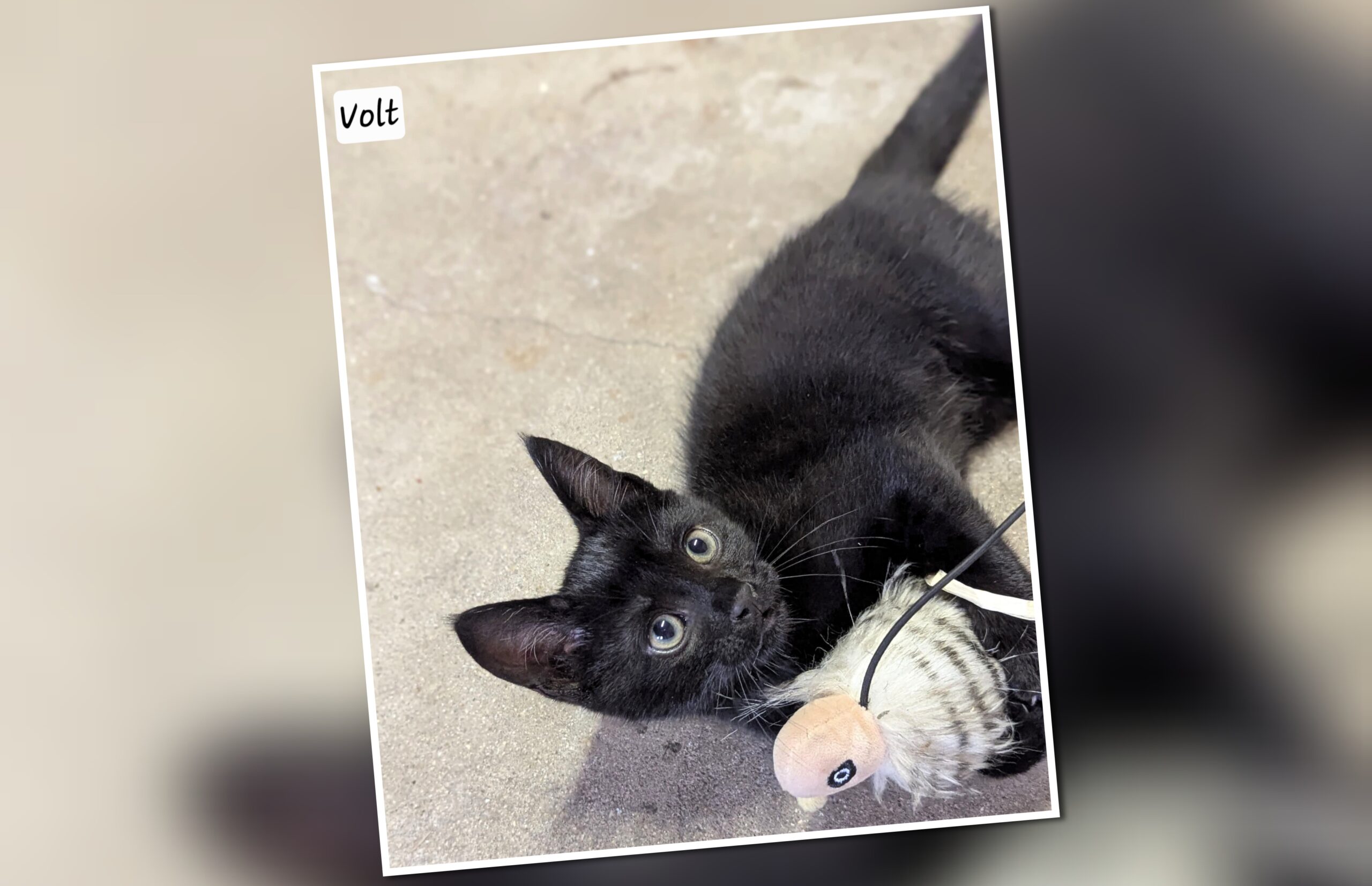 InCollage_20250908_141257002