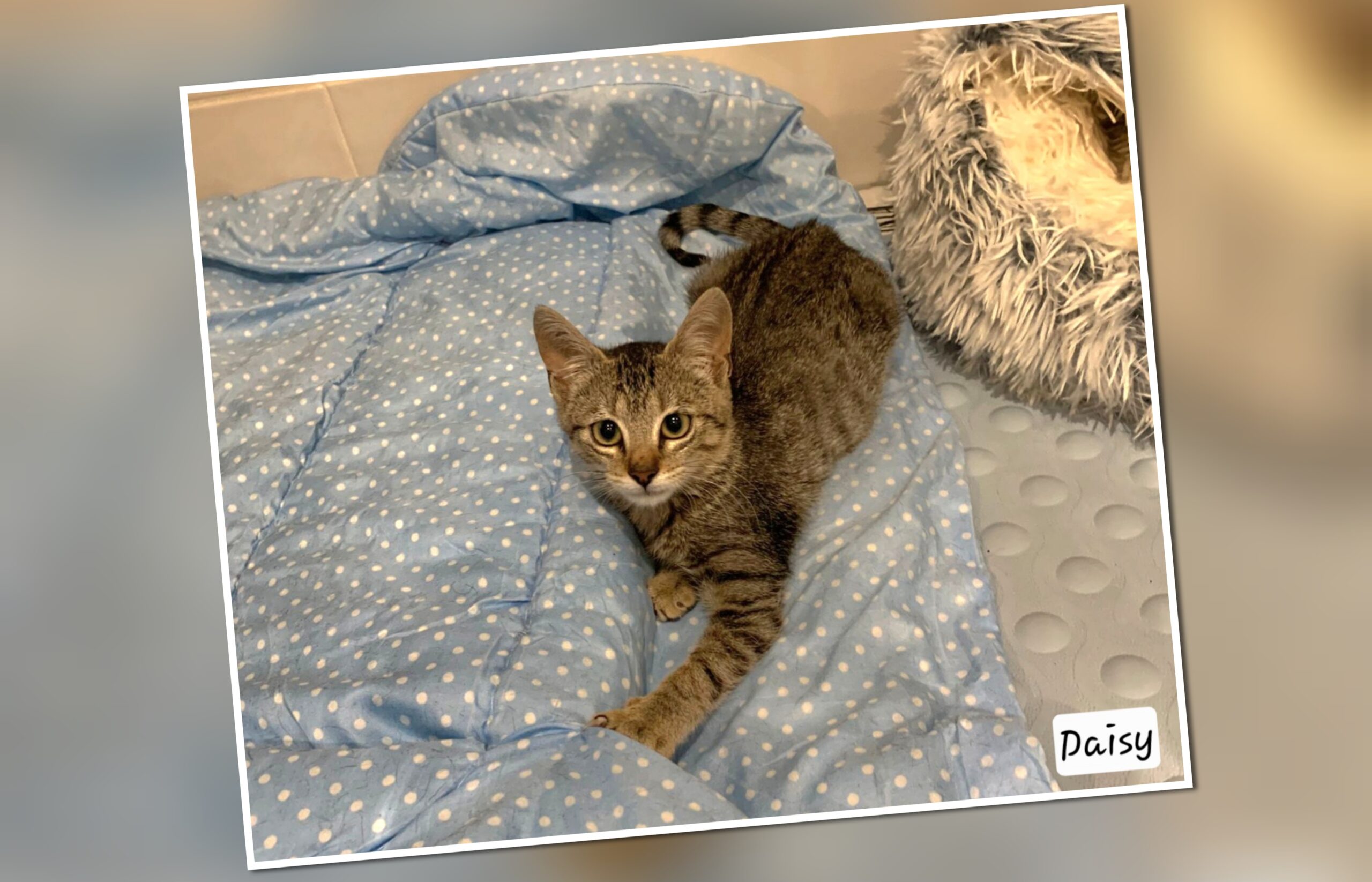 InCollage_20250910_201604561