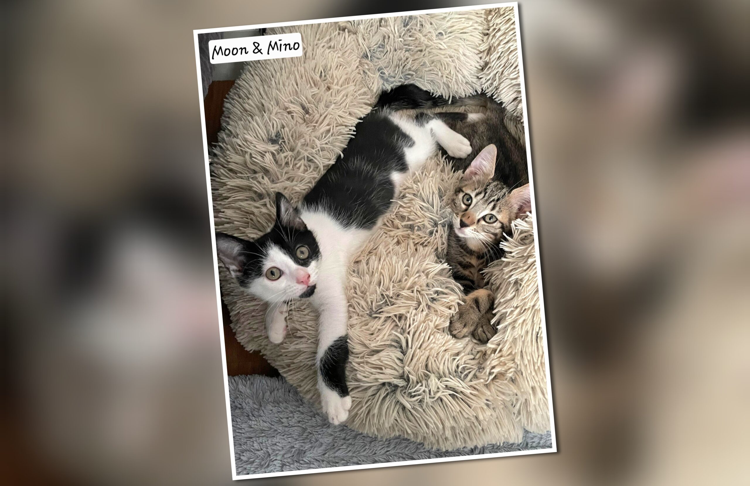 InCollage_20250911_175902597