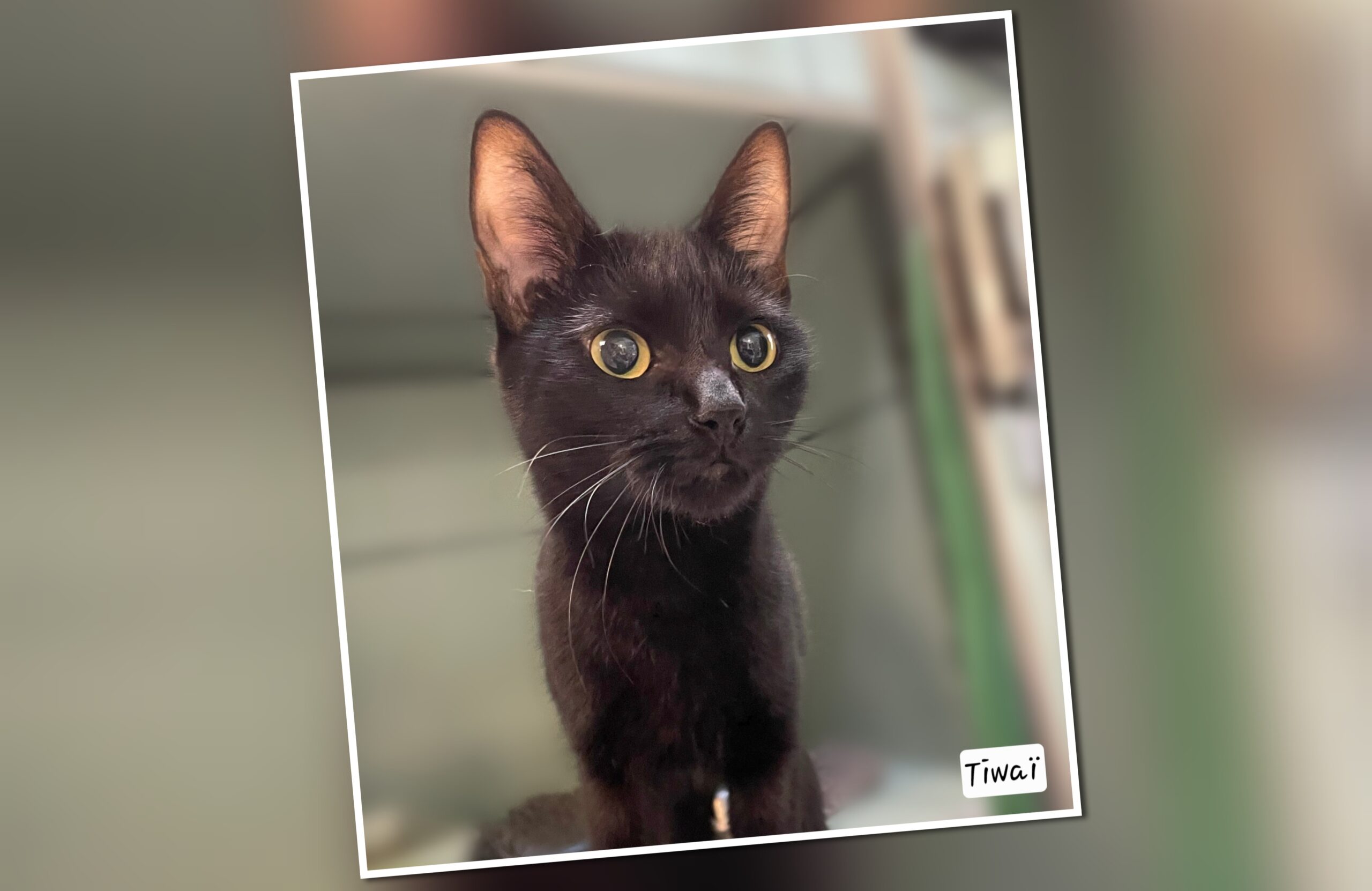 InCollage_20250920_141708495