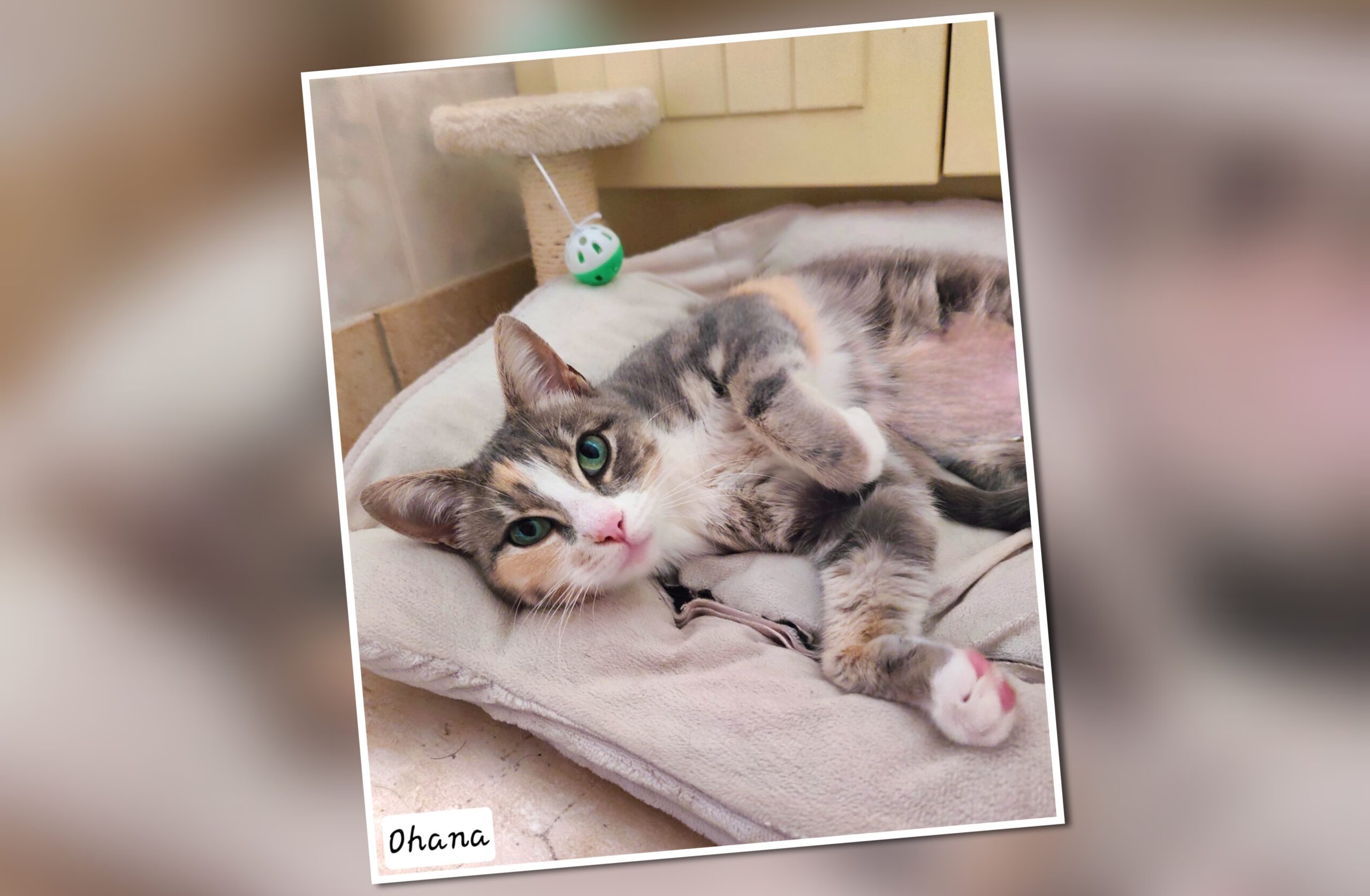 InCollage_20250924_224848564