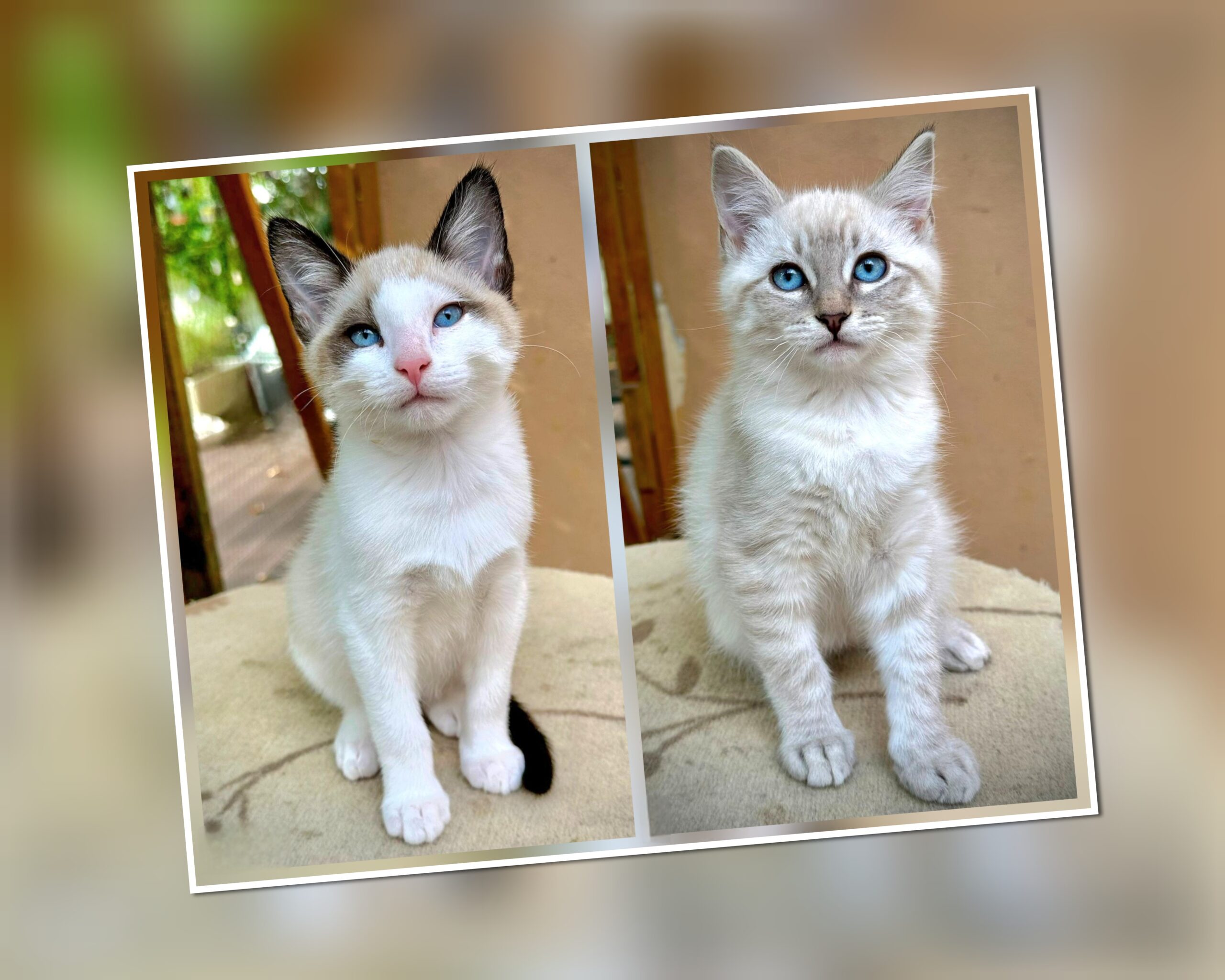 InCollage_20250930_163520446