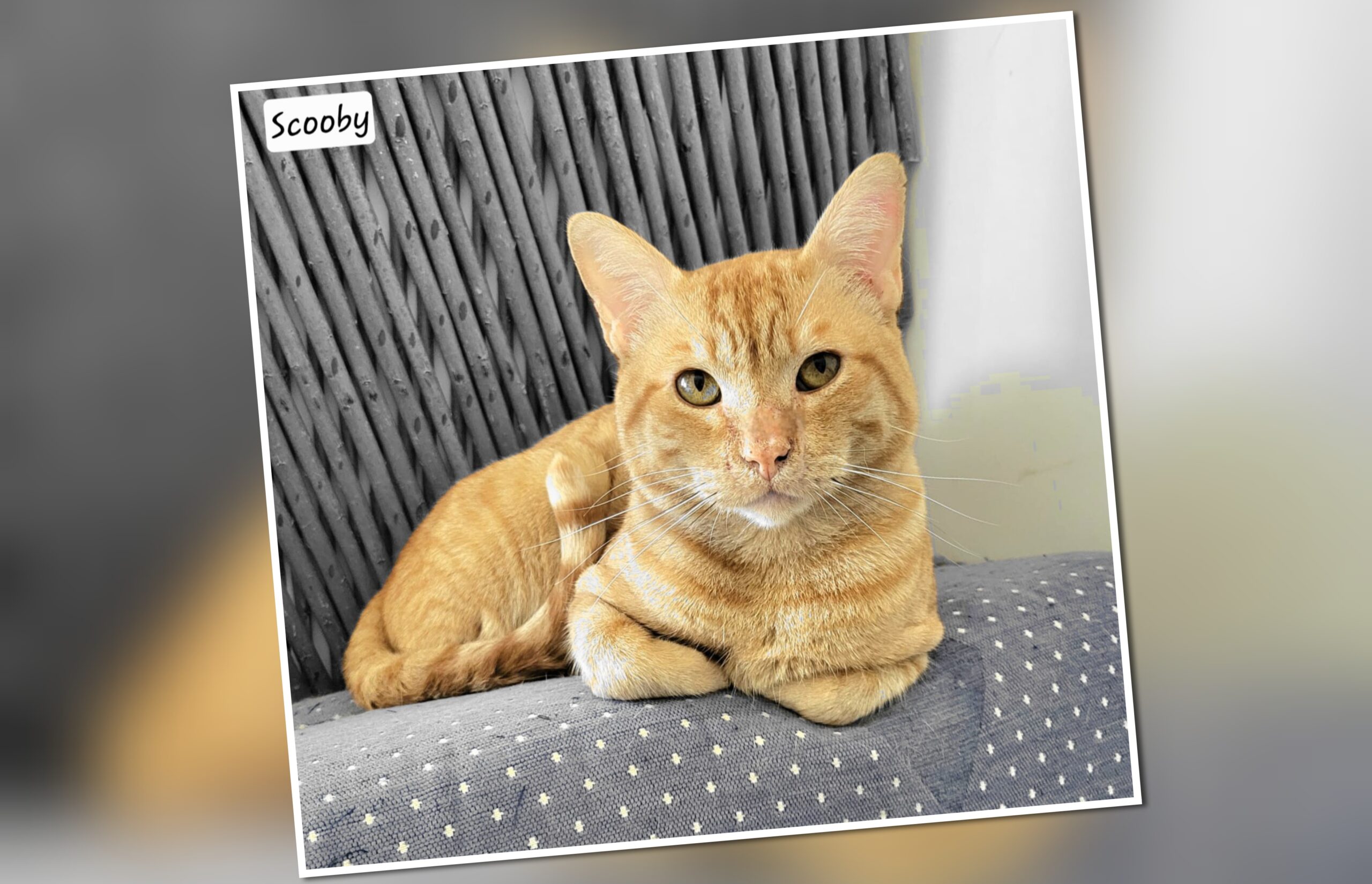 InCollage_20251010_215733325