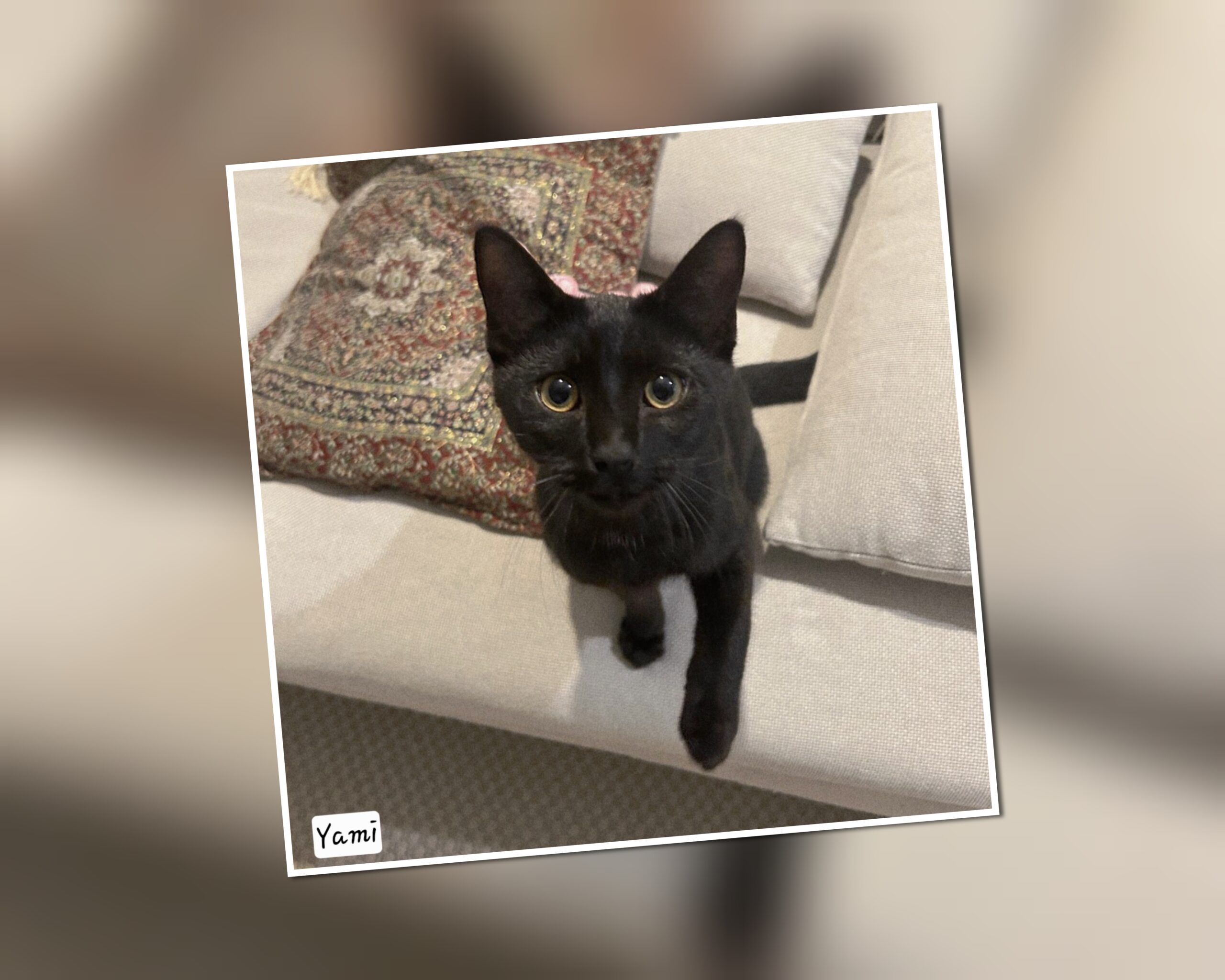 InCollage_20251018_134849920