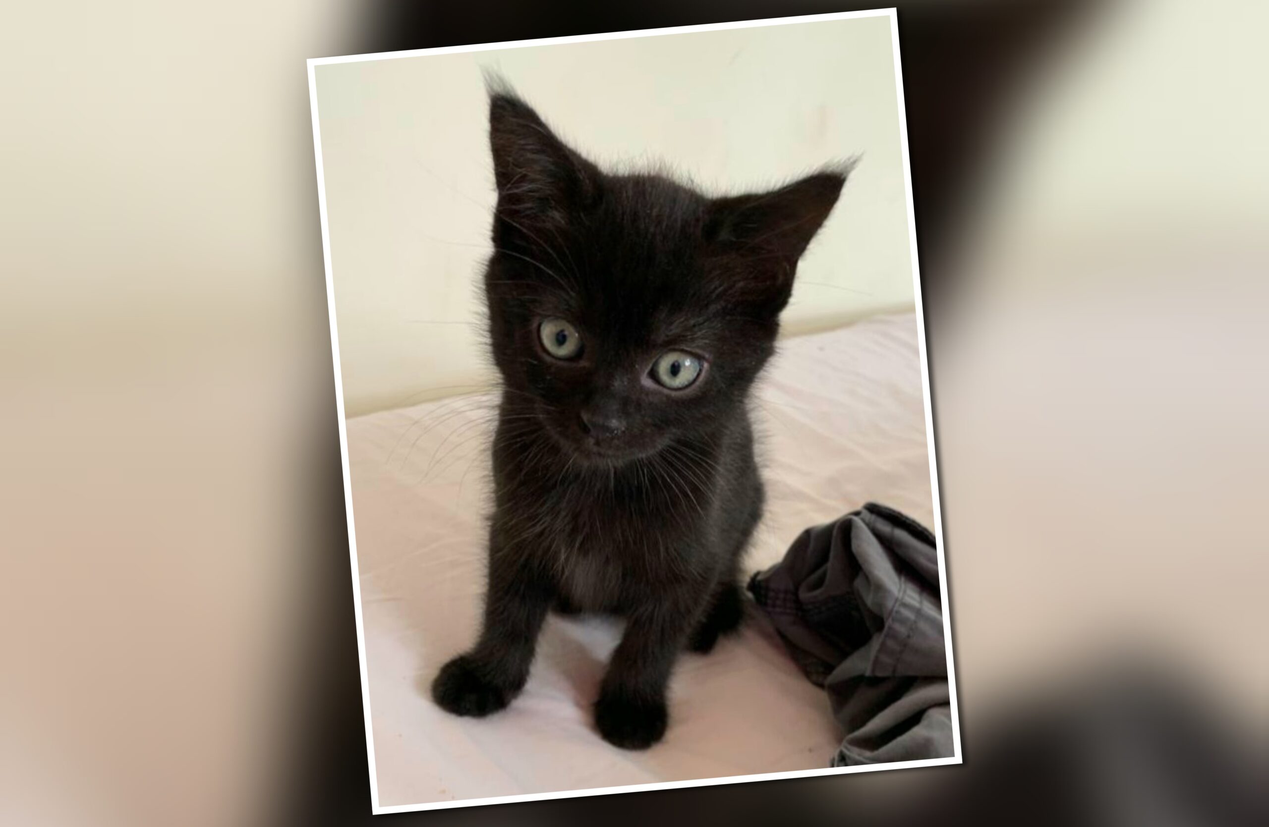 InCollage_20251029_143401704