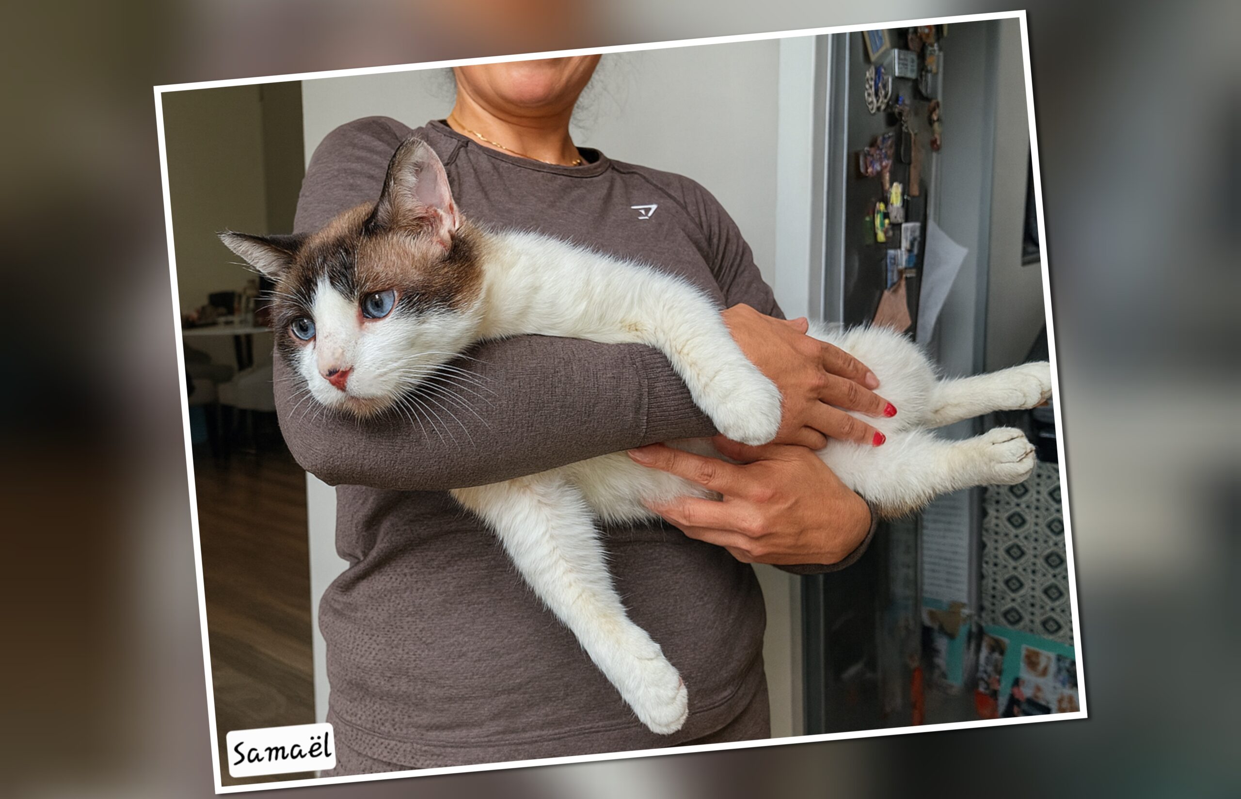 InCollage_20251210_102138559