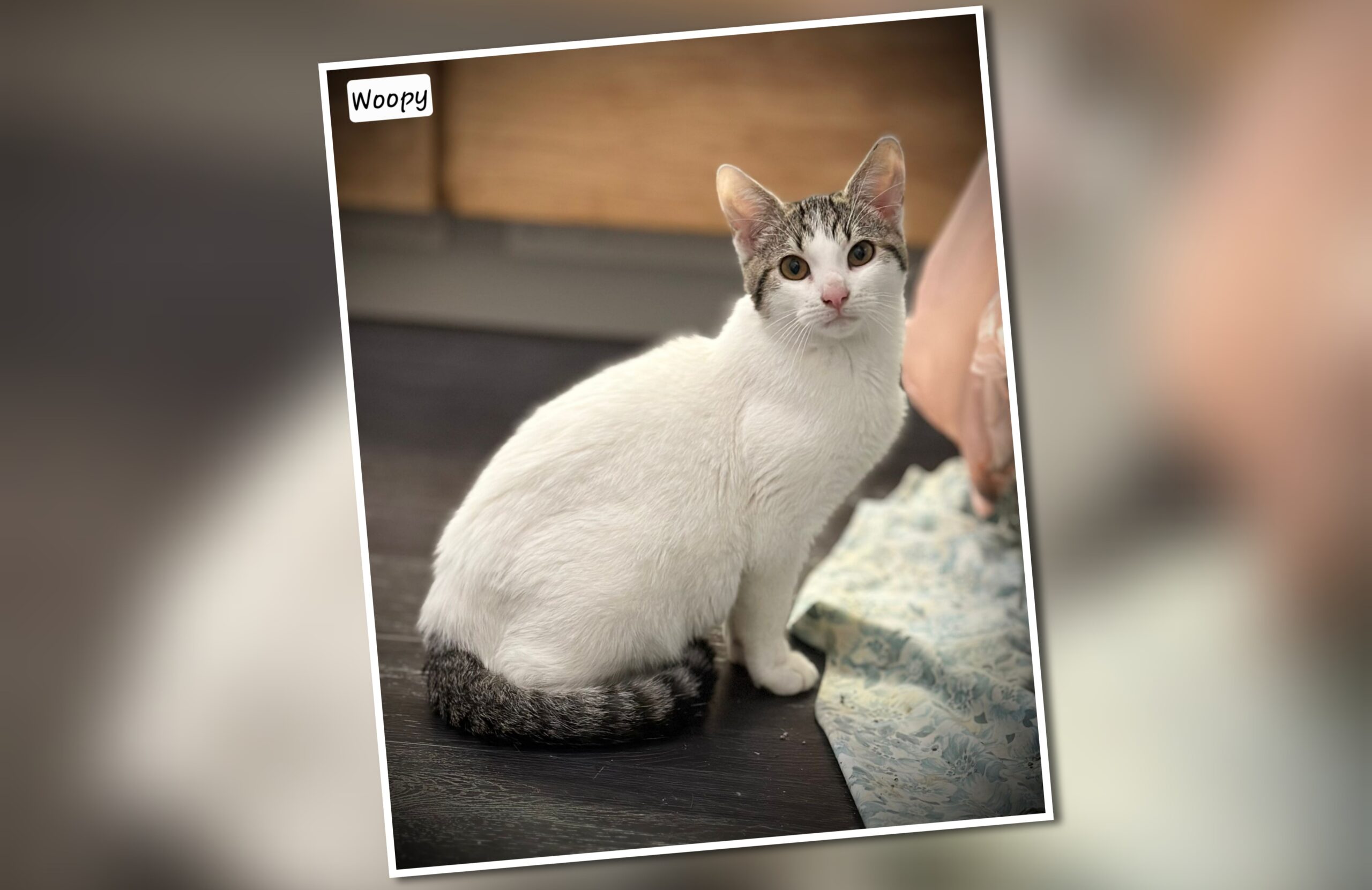 InCollage_20251119_183342692