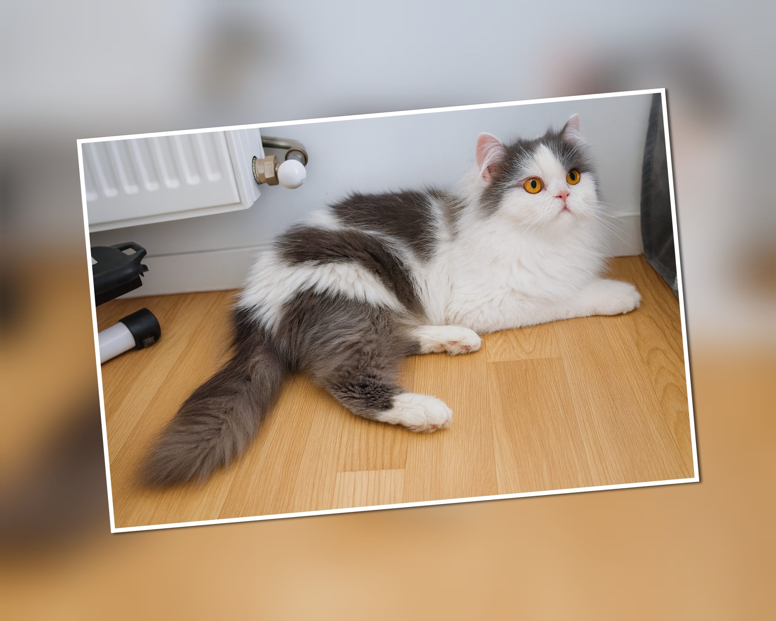 InCollage_20251120_210630505