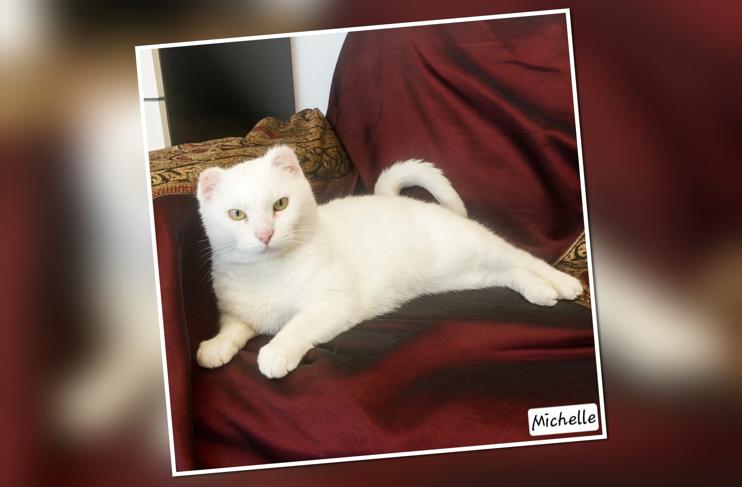 InCollage_20251124_160240497