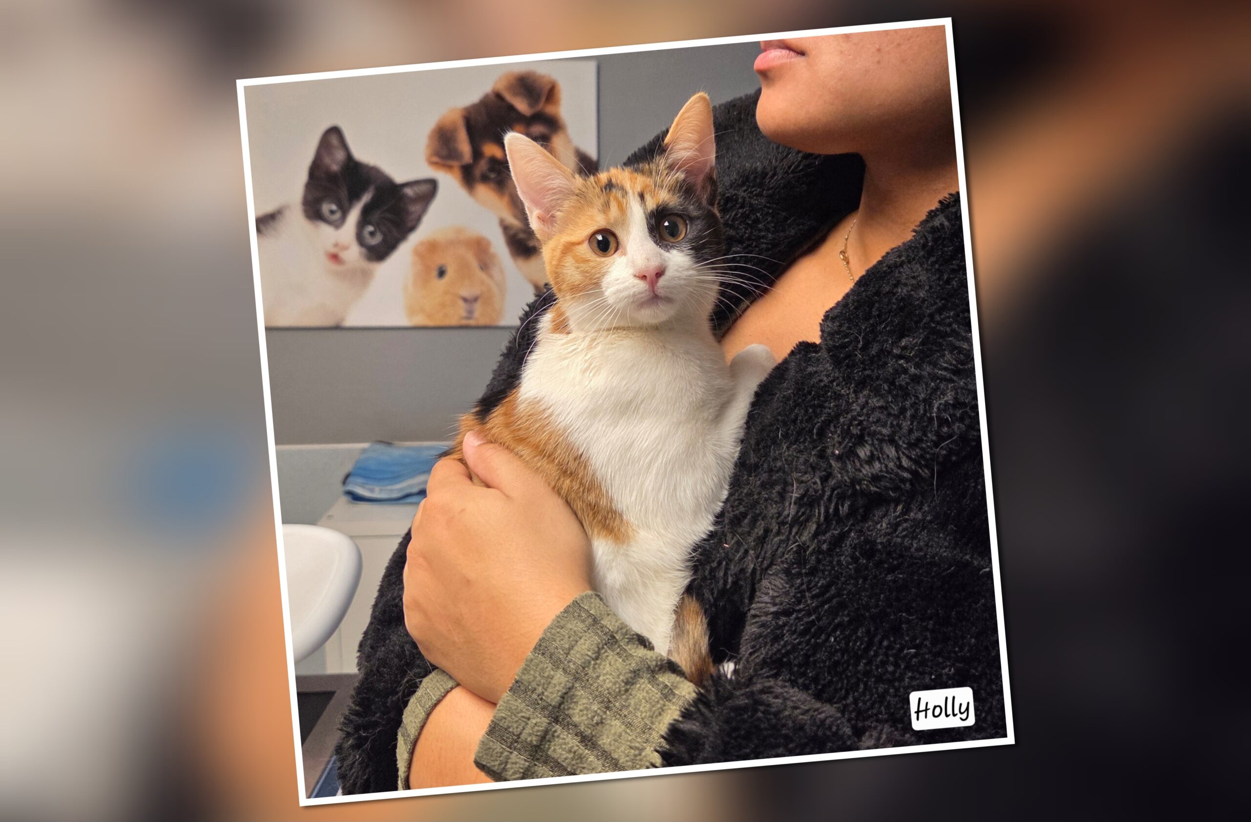 InCollage_20251128_215833379