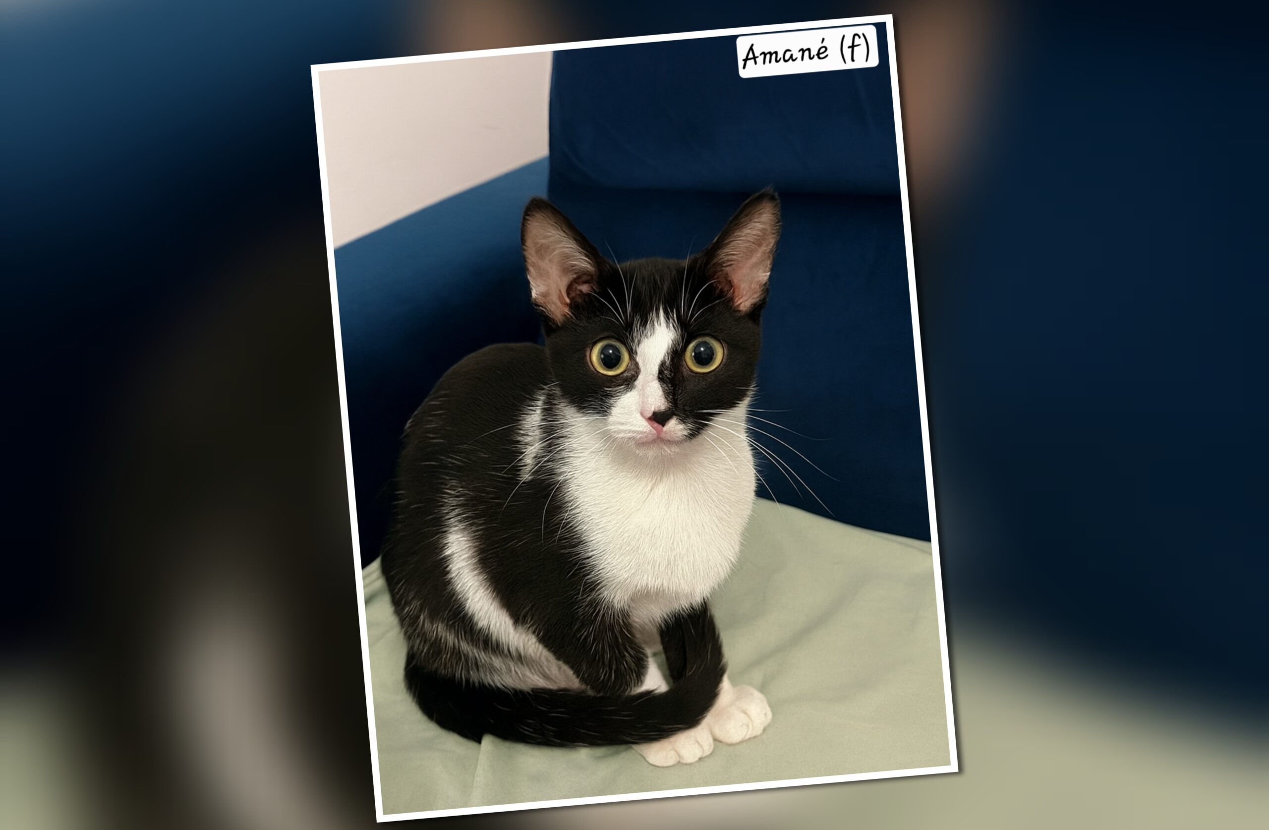 InCollage_20251205_163251038