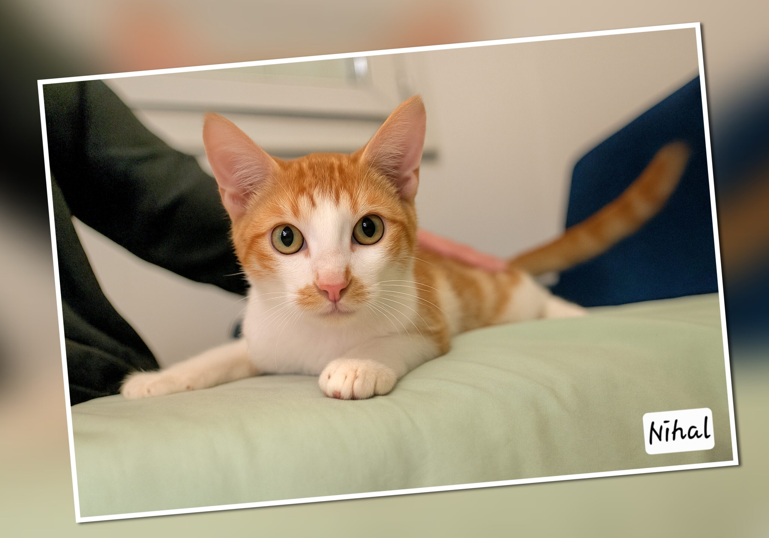 InCollage_20251205_163516944