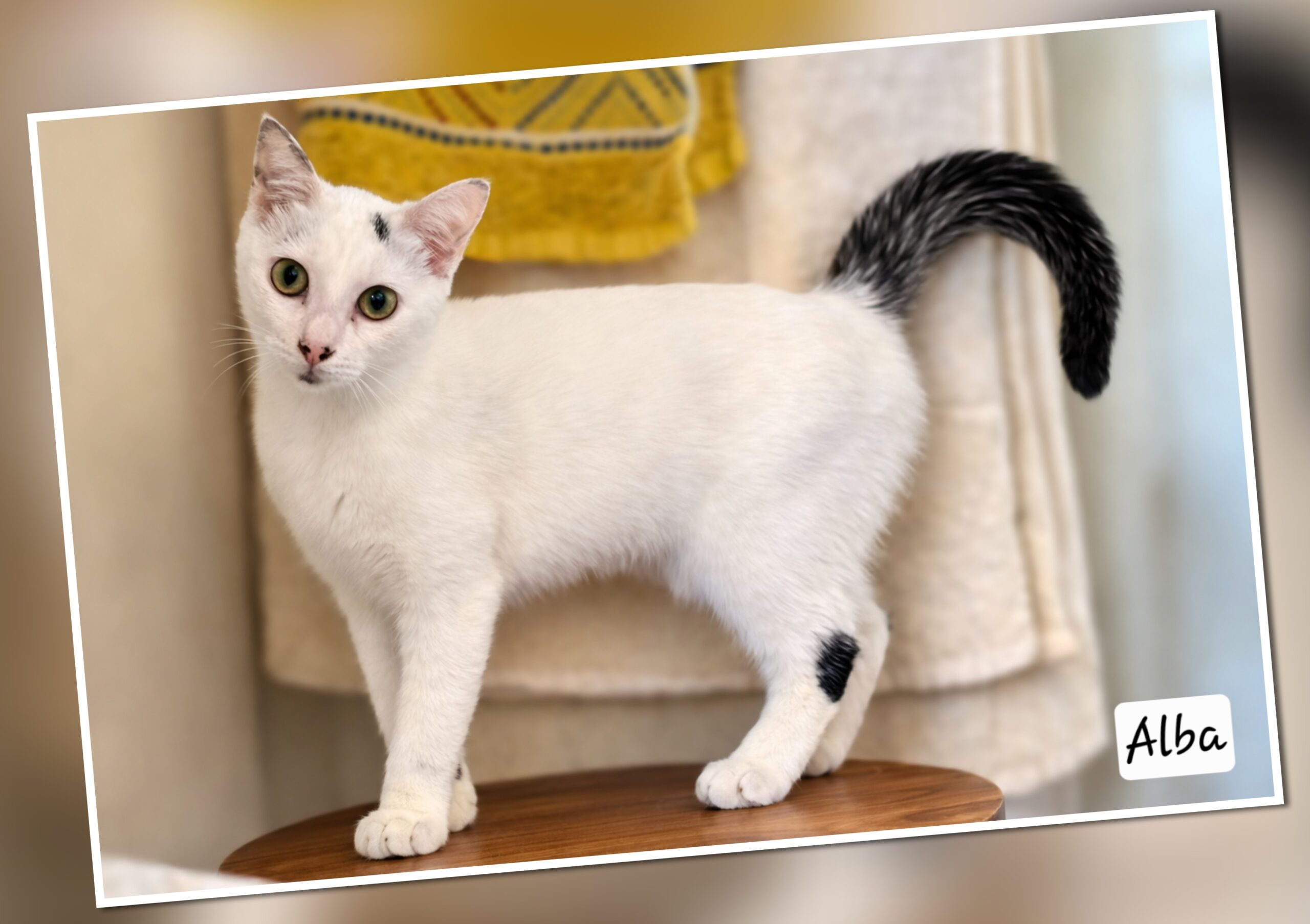 InCollage_20260314_180942089