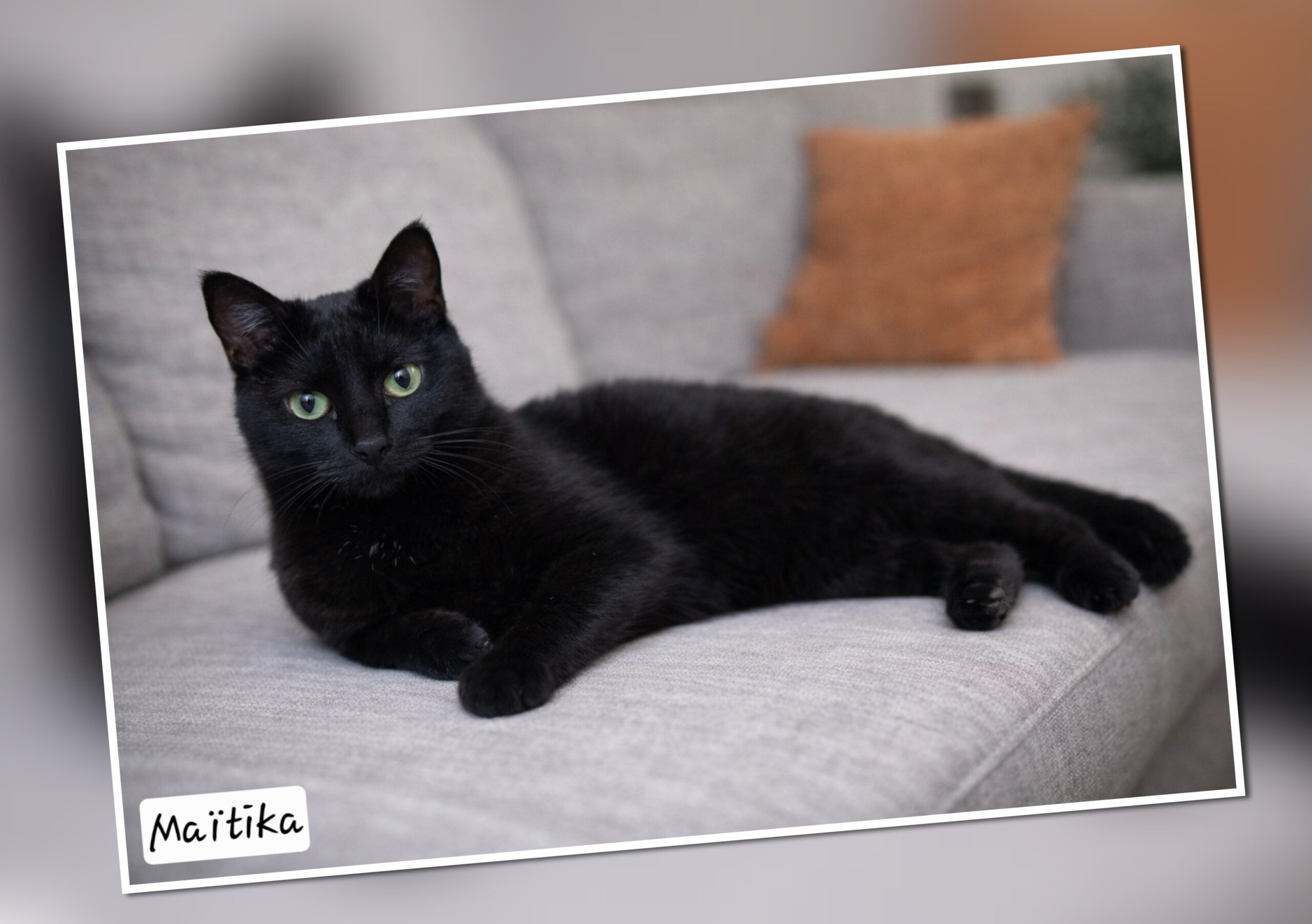 InCollage_20260318_214405854