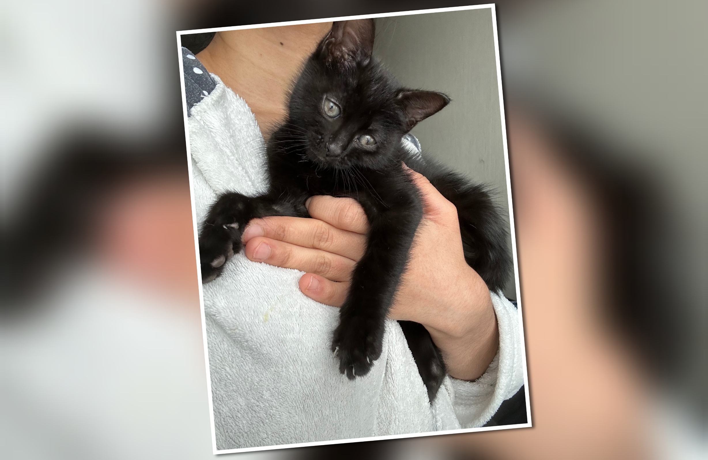 InCollage_20260323_160915189