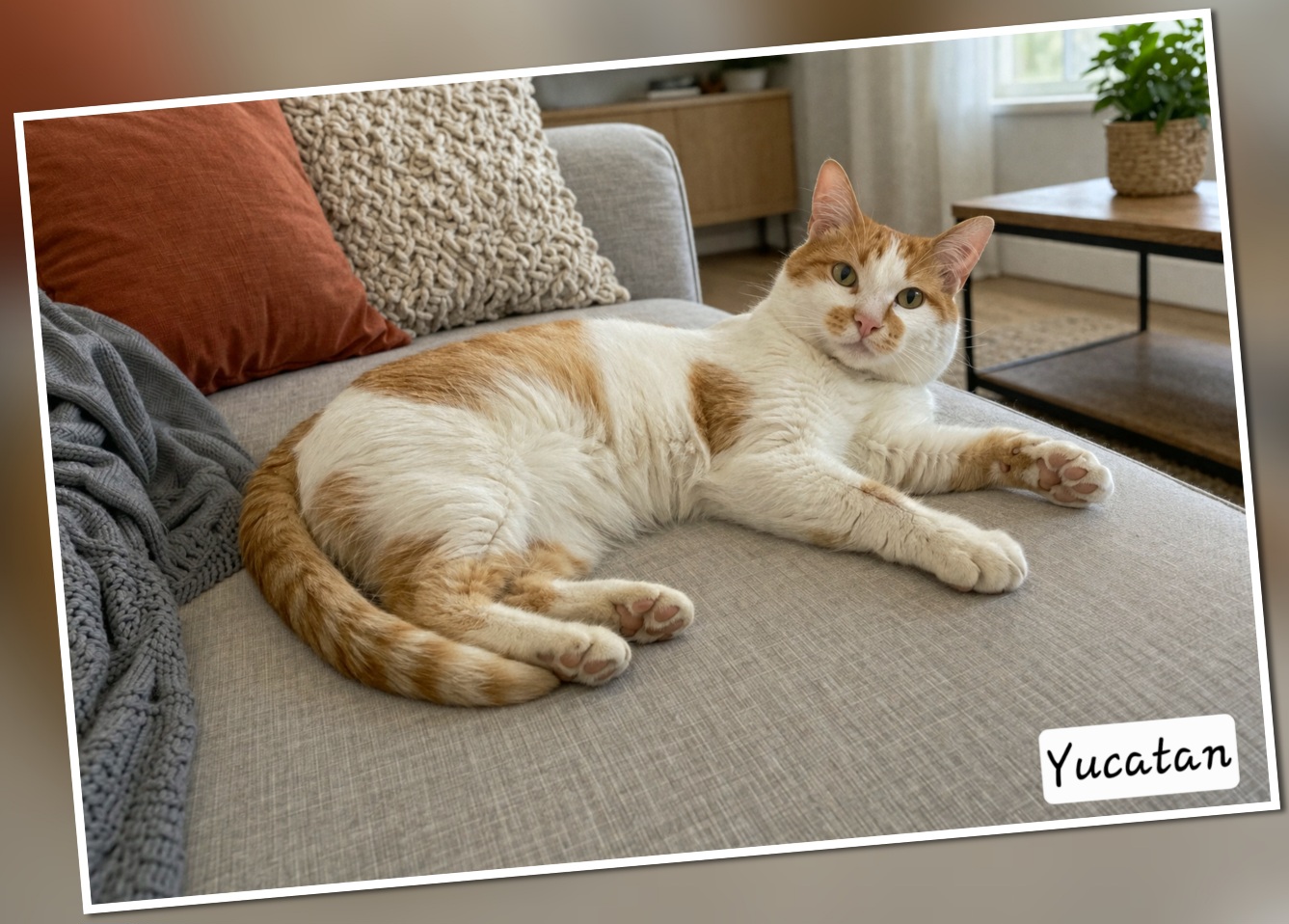 InCollage_20260325_210818983